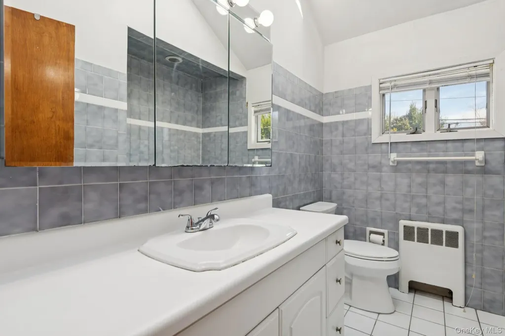 17 Whitman Avenue Syosset NY 11791