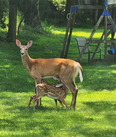 92 Hughson Road Carmel NY 10512