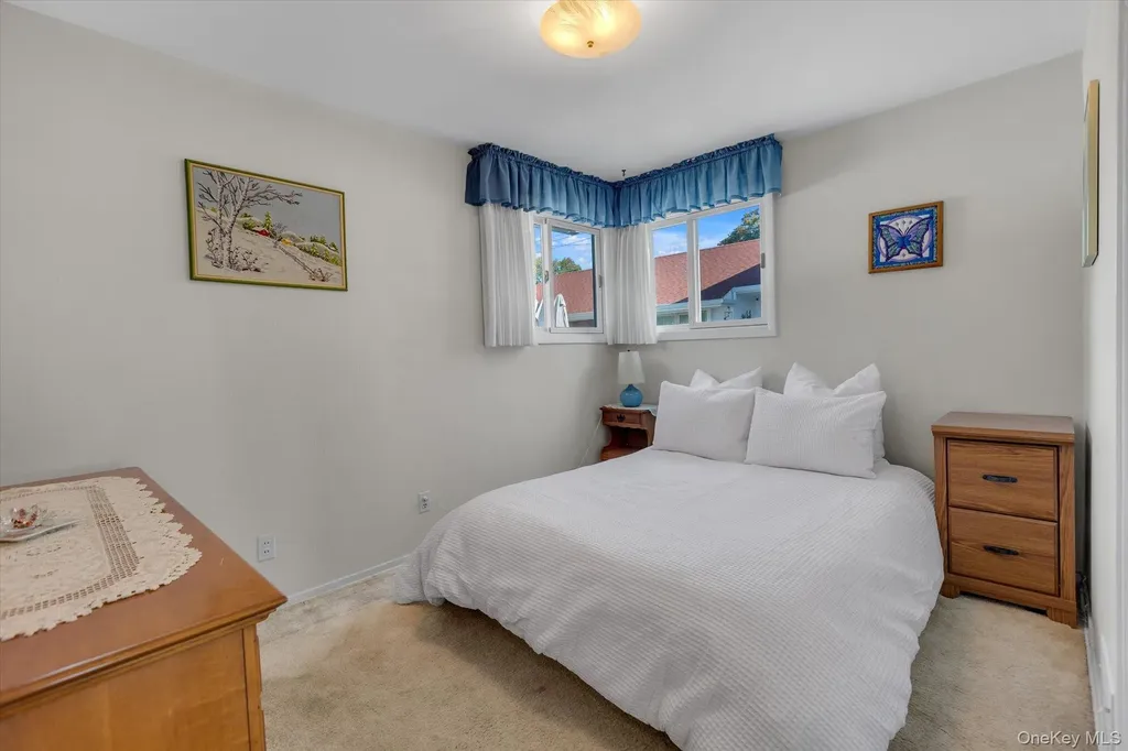 29 Adelphi Road Hicksville NY 11801