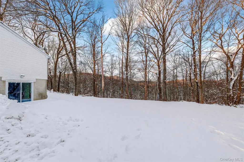 11 Park Lane Holmes NY 12531