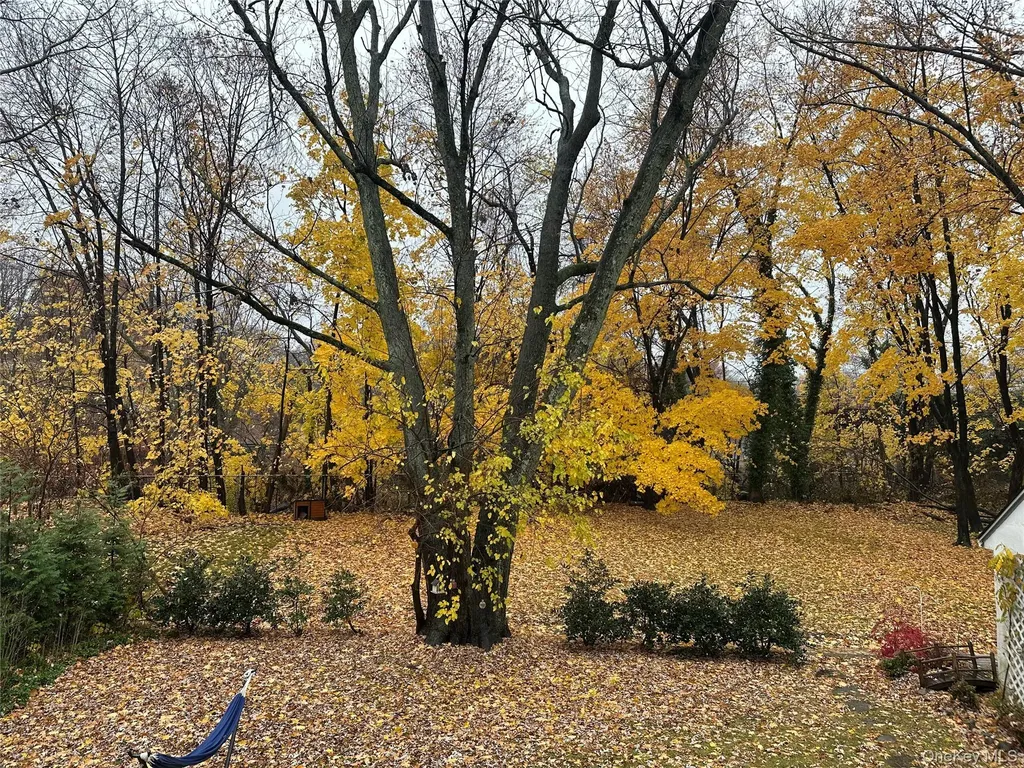 25 Parkway Road Bronxville NY 10708