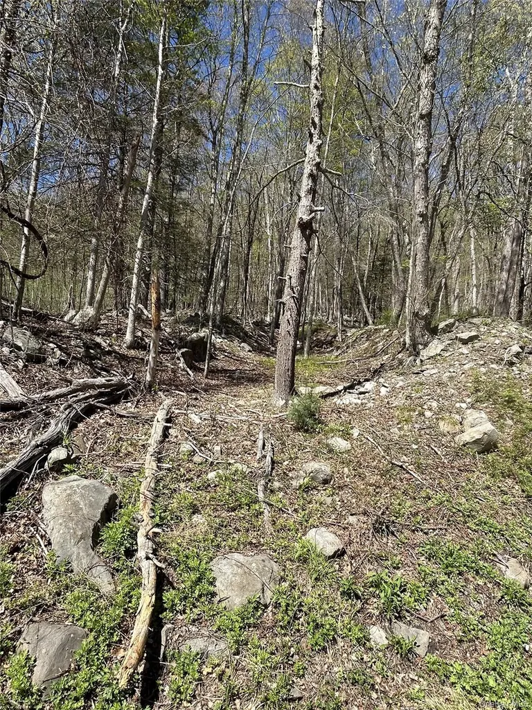 14 Hawk Mountain Drive Sparrowbush NY 12780