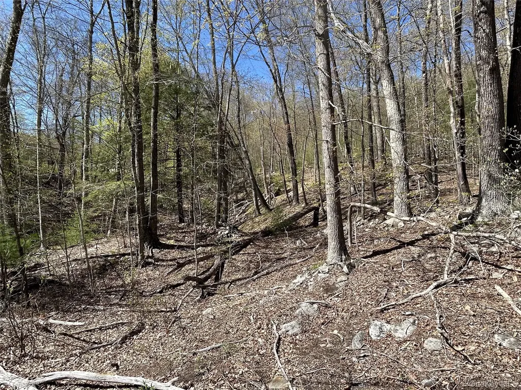 14 Hawk Mountain Drive Sparrowbush NY 12780