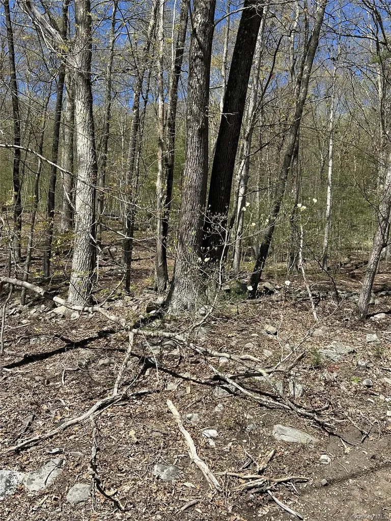 14 Hawk Mountain Drive Sparrowbush NY 12780