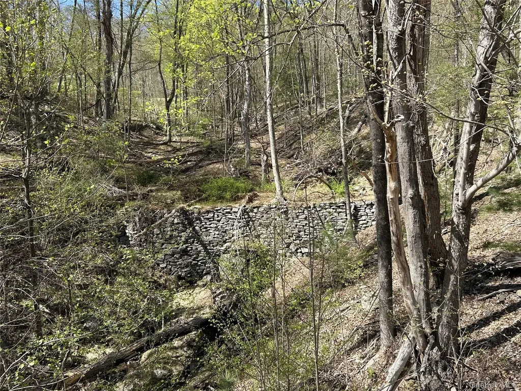 14 Hawk Mountain Drive Sparrowbush NY 12780