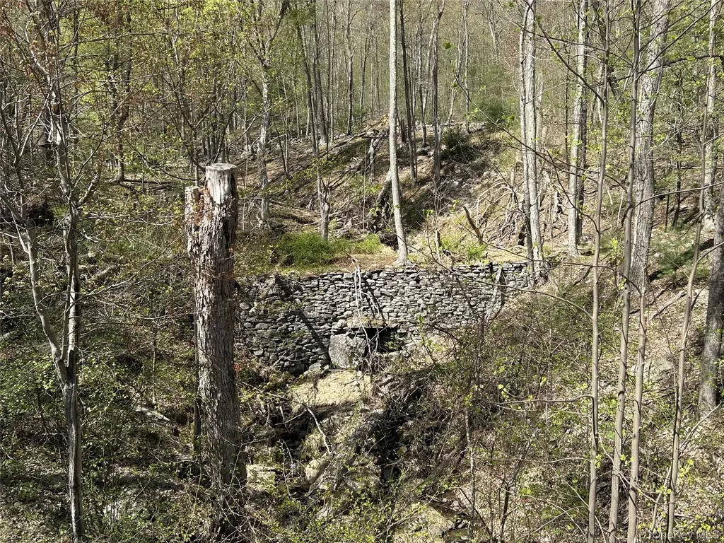 14 Hawk Mountain Drive Sparrowbush NY 12780