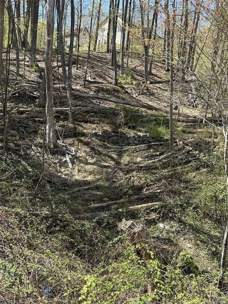 14 Hawk Mountain Drive Sparrowbush NY 12780