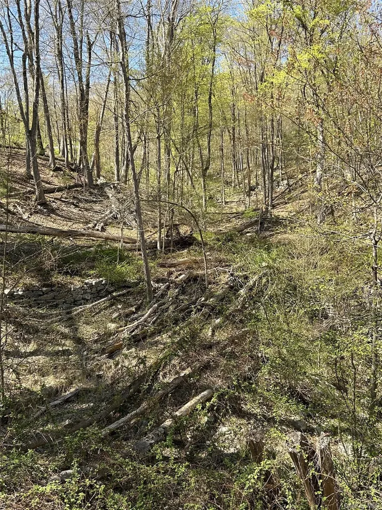 14 Hawk Mountain Drive Sparrowbush NY 12780