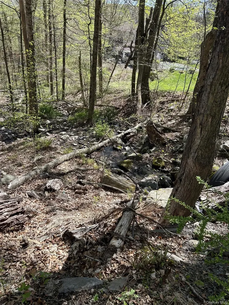14 Hawk Mountain Drive Sparrowbush NY 12780