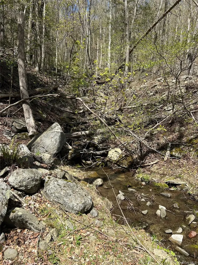 14 Hawk Mountain Drive Sparrowbush NY 12780