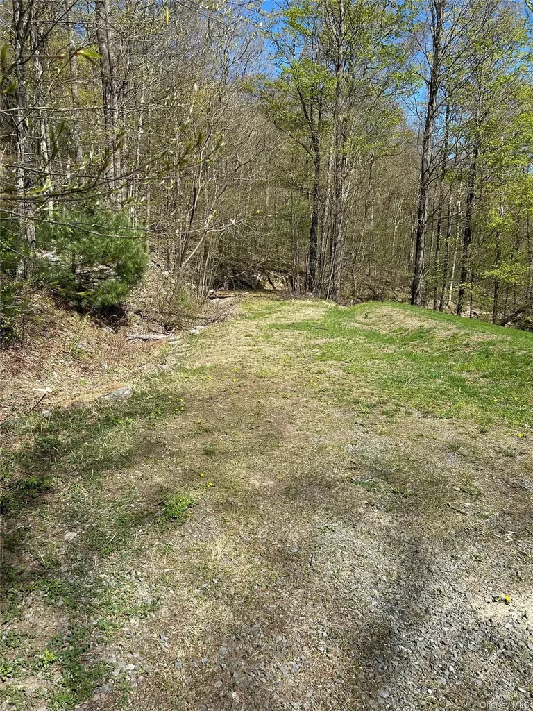 14 Hawk Mountain Drive Sparrowbush NY 12780