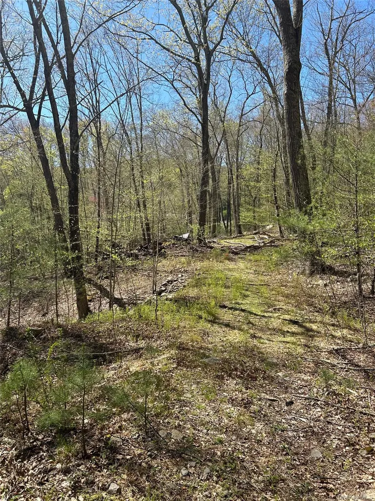 14 Hawk Mountain Drive Sparrowbush NY 12780