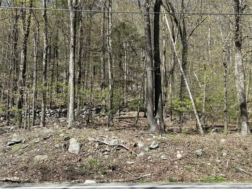 14 Hawk Mountain Drive Sparrowbush NY 12780