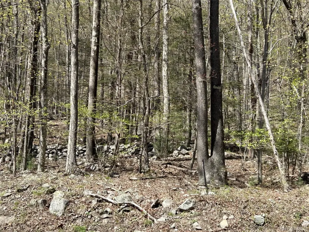 14 Hawk Mountain Drive Sparrowbush NY 12780
