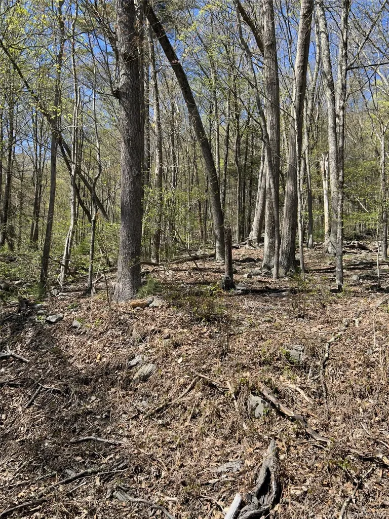 14 Hawk Mountain Drive Sparrowbush NY 12780