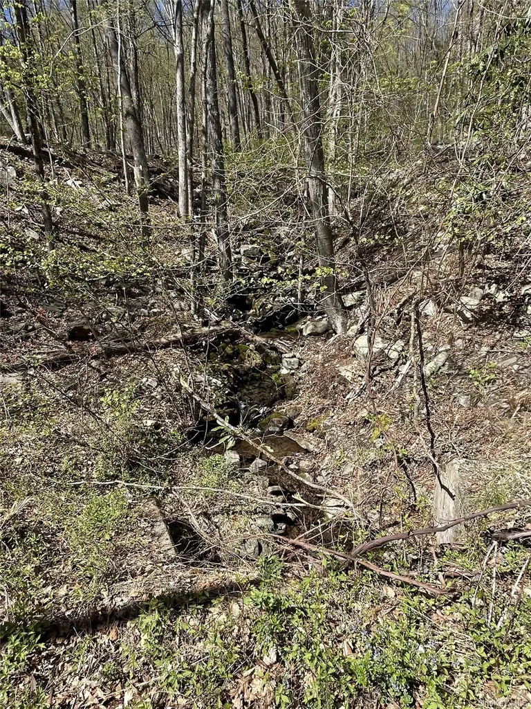 14 Hawk Mountain Drive Sparrowbush NY 12780