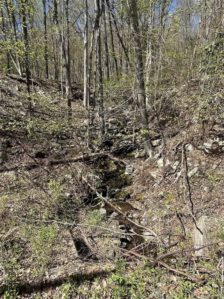 14 Hawk Mountain Drive Sparrowbush NY 12780