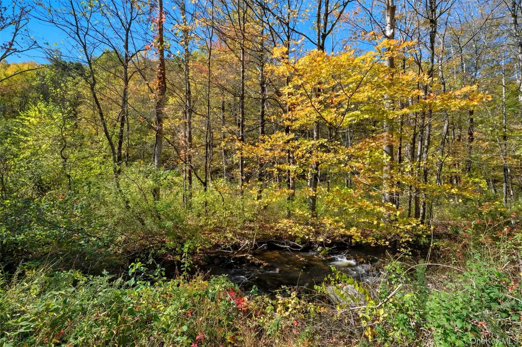 Wiccopee Road Putnam Valley NY 10579