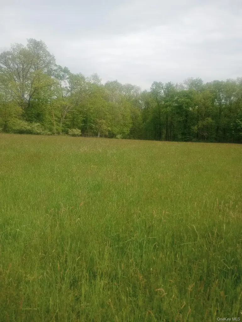 Myers Road Westtown, Ny 10 Myers Road Westtown NY 10998
