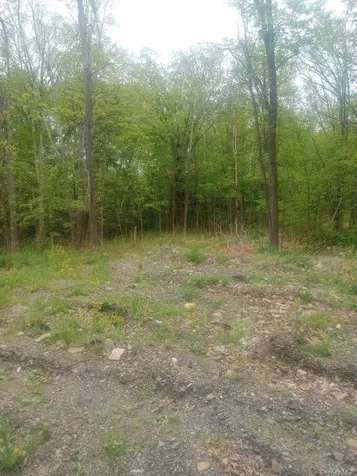 Myers Road Westtown, Ny 10 Myers Road Westtown NY 10998