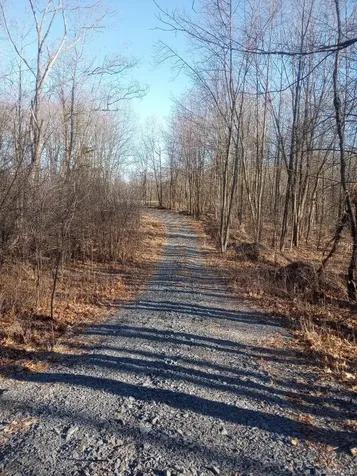 Myers Road Westtown, Ny 10 Myers Road Westtown NY 10998