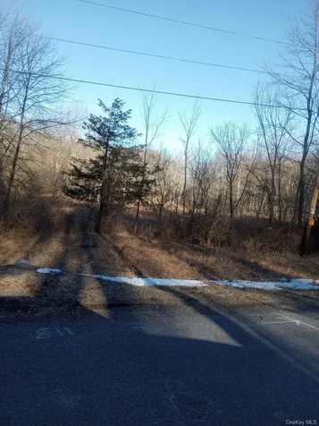 Myers Road Westtown, Ny 10 Myers Road Westtown NY 10998