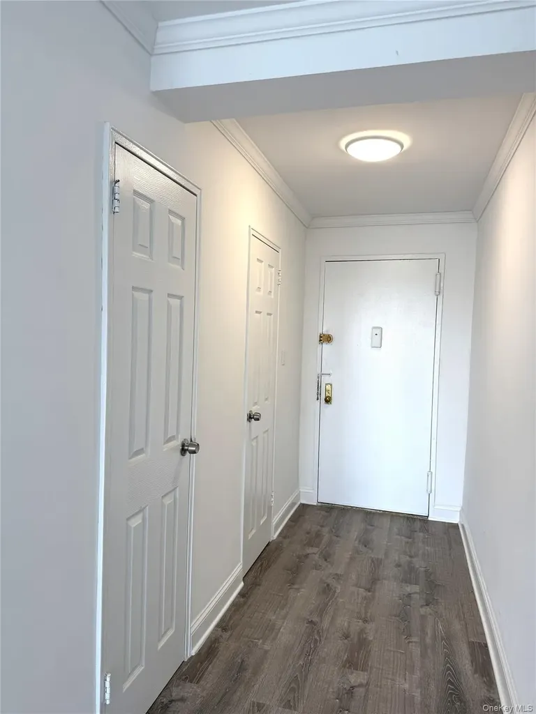 222-89 Braddock Avenue Bellerose NY 11428