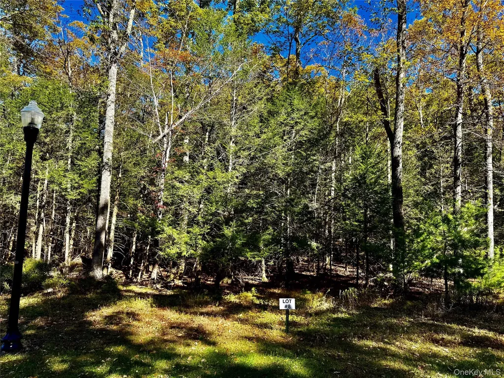 78 Falling Waters Drive Palenville NY 12463