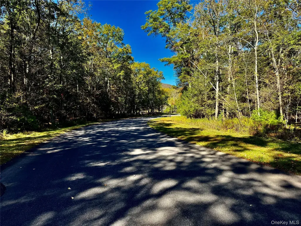78 Falling Waters Drive Palenville NY 12463
