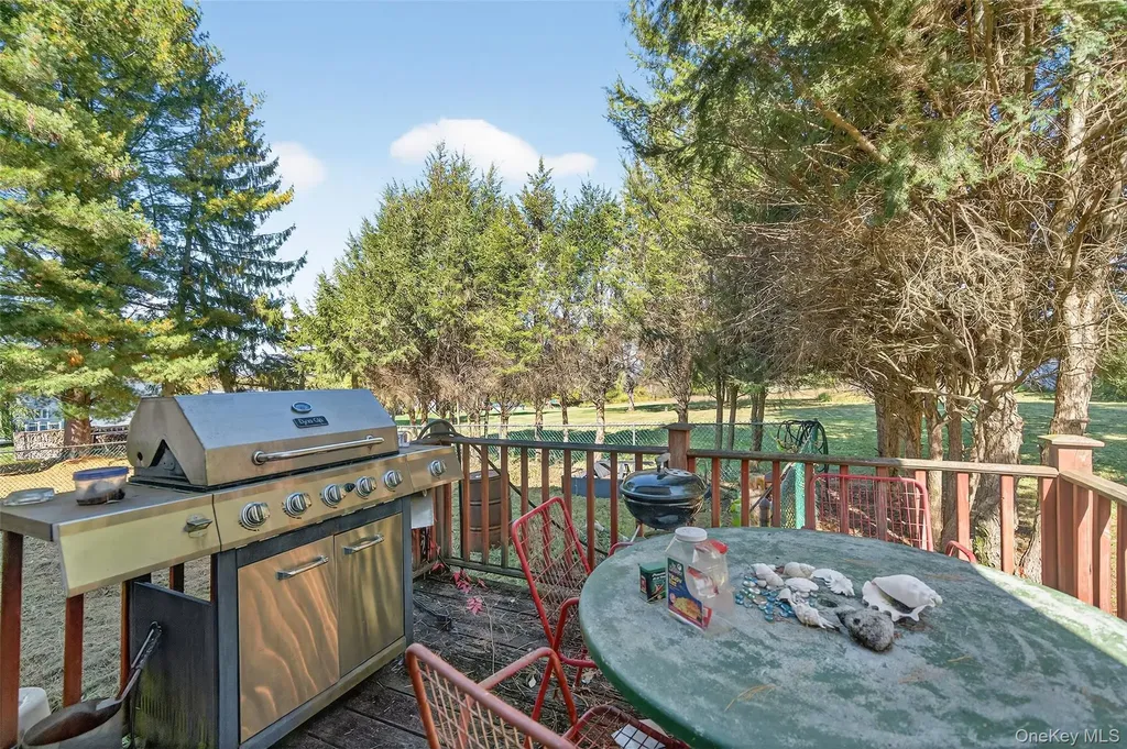 20 County Route 48 Thompson Ridge NY 10985