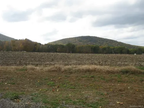 82 Lake Road Pine Plains NY 12567