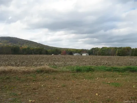 82 Lake Road Pine Plains NY 12567