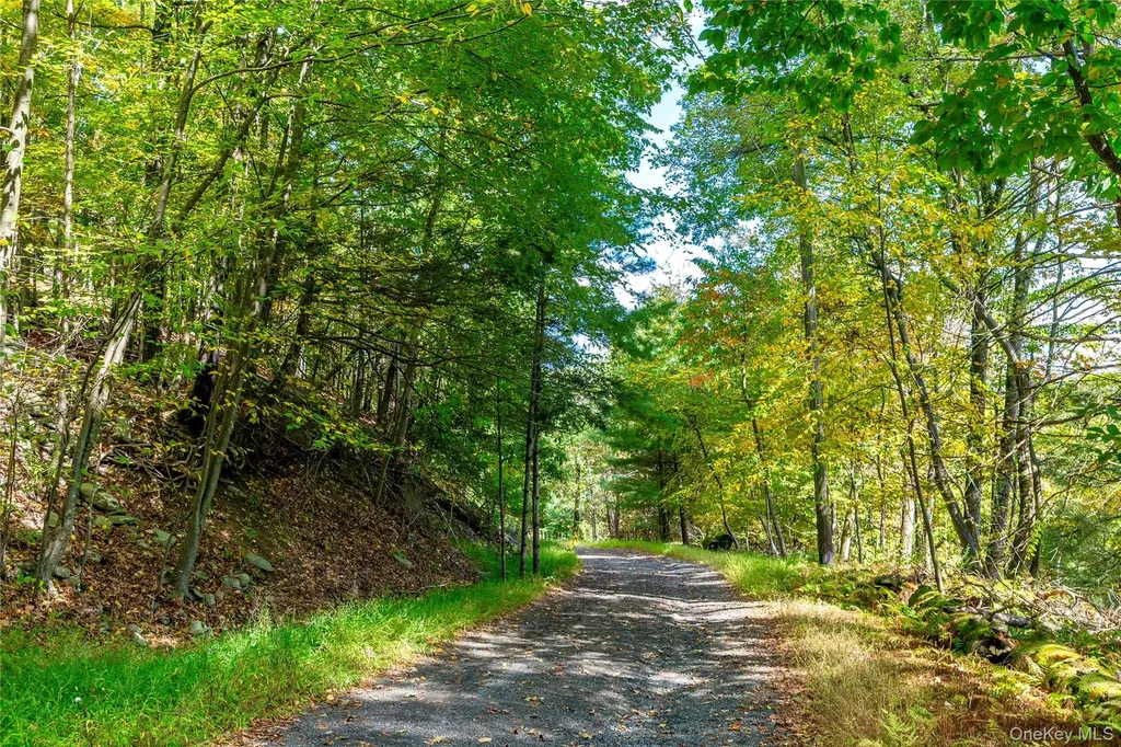 39 Hornbeck Lane Accord NY 12404