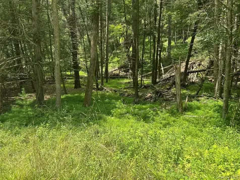 126 Yulan-barryville Road Barryville NY 12719