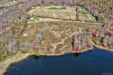 Tbd Meadow Lane Fremont NY 12736