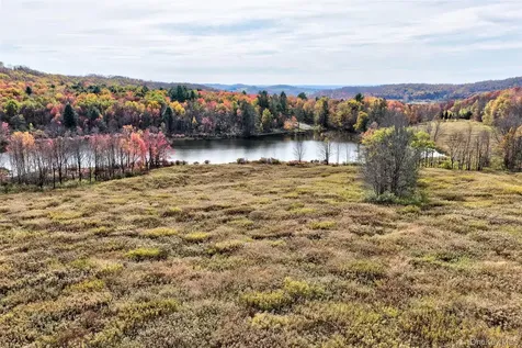 Tbd Meadow Lane Fremont NY 12736