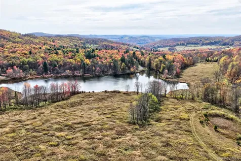 Tbd Meadow Lane Fremont NY 12736