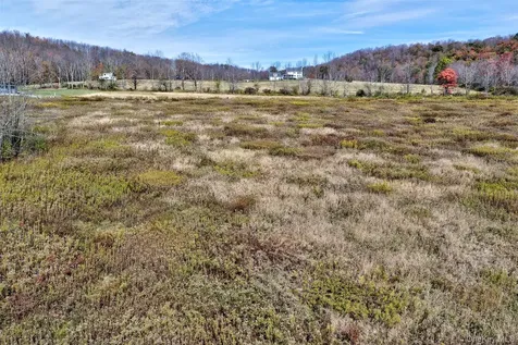 Tbd Meadow Lane Fremont NY 12736
