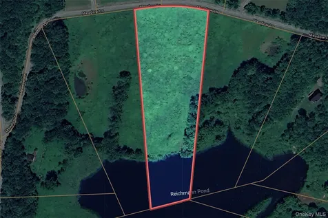 Tbd Meadow Lane Fremont NY 12736