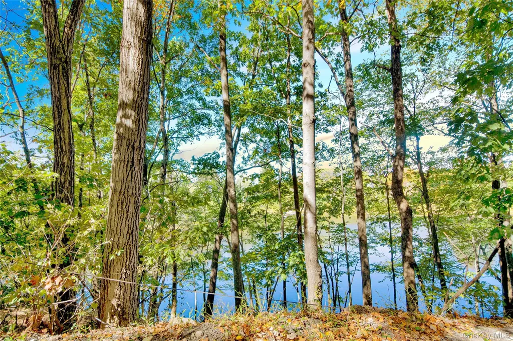 51 S Shore Drive Middletown NY 10940