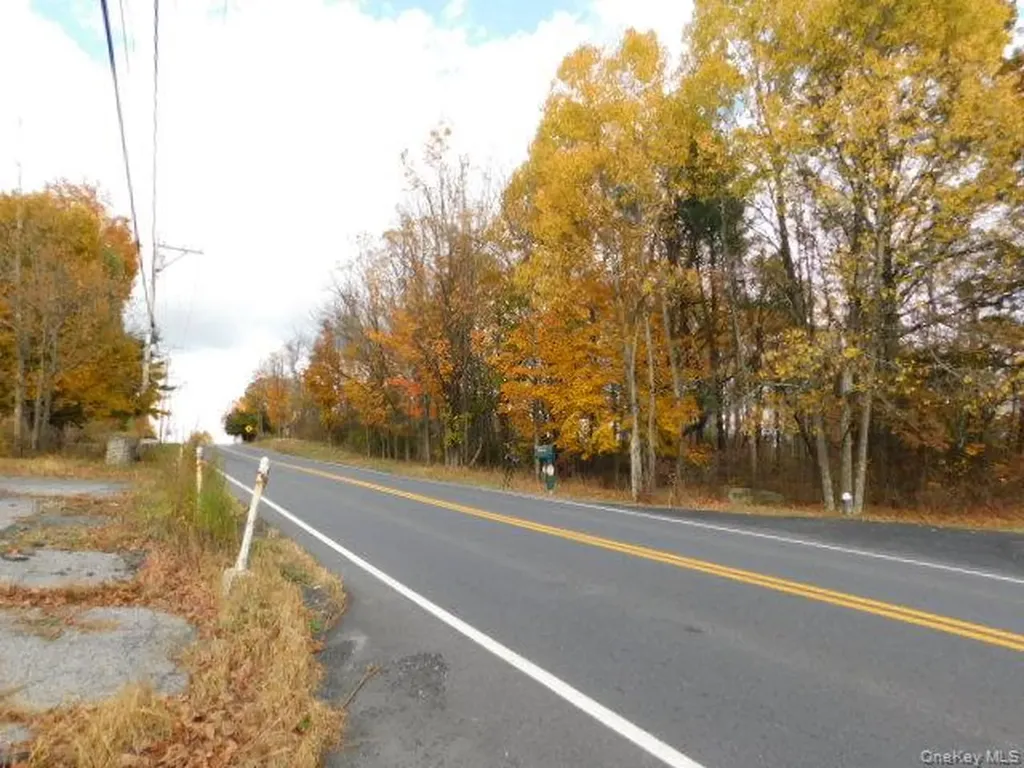 247 Plattekill Ardonia Road Wallkill NY 12589
