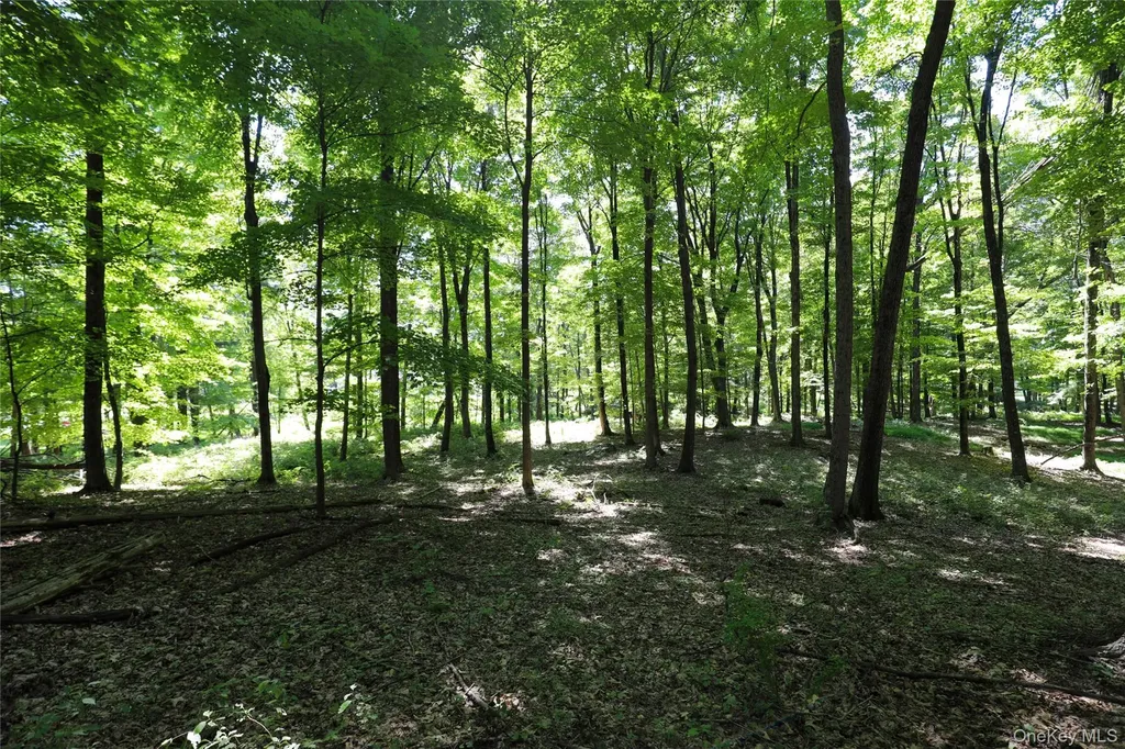 458 Lucas Avenue Kingston NY 12487