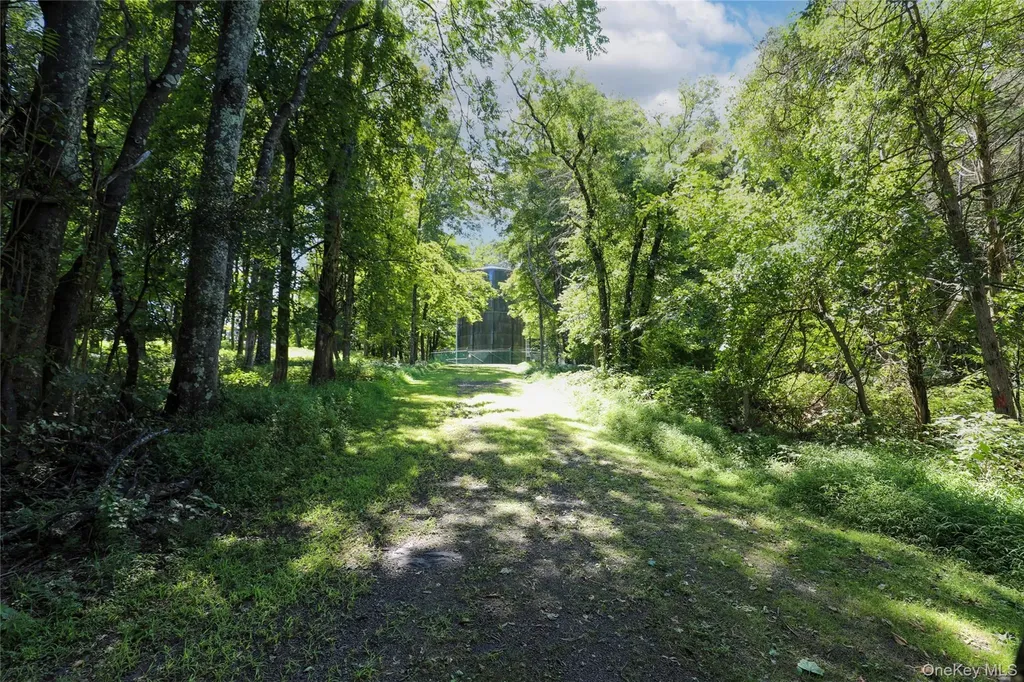 458 Lucas Avenue Kingston NY 12487