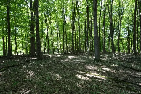 458 Lucas Avenue Kingston NY 12487
