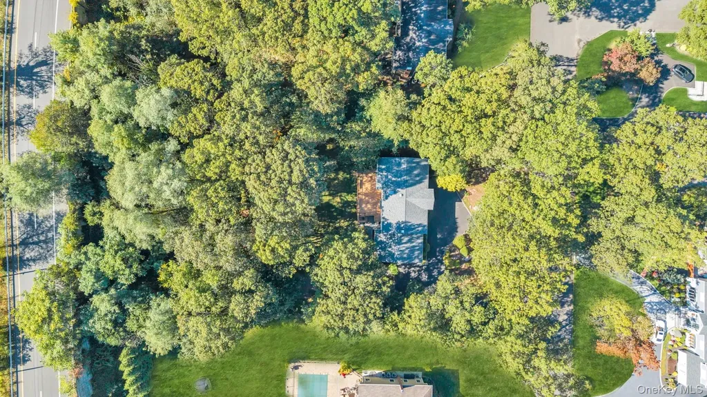 8 Chablis Drive Dix Hills NY 11746
