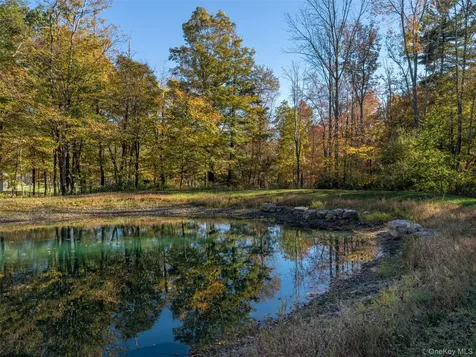 271 Texas Hill Road Hillsdale NY 12529