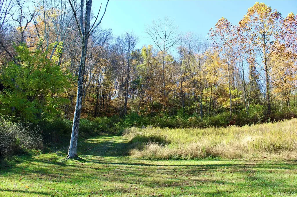 3 Spruce Hill Amenia NY 12501