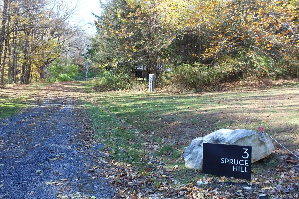 3 Spruce Hill Amenia NY 12501