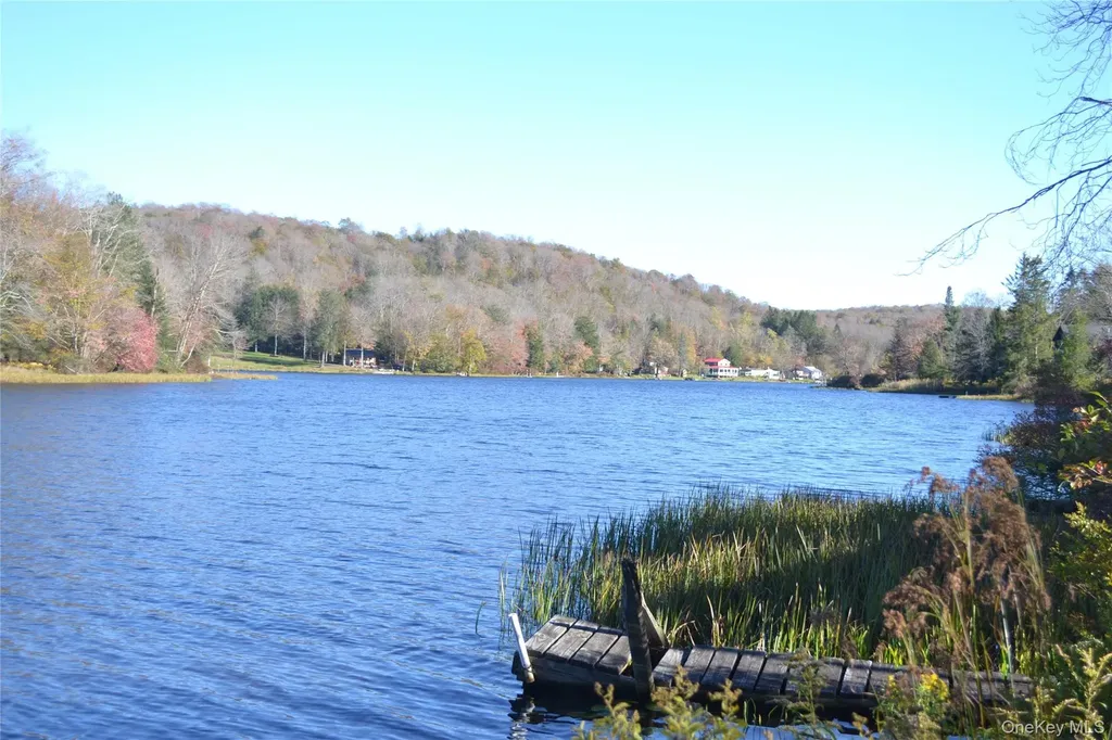 238 Trout Brook Road Roscoe NY 12776