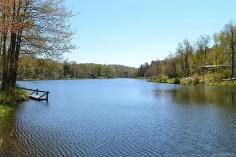 238 Trout Brook Road Roscoe NY 12776